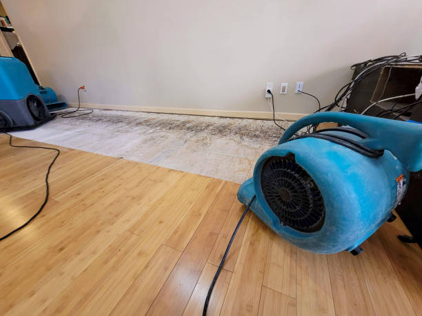 Professional Burst Pipe Water Damage technician working in Tupelo, MS